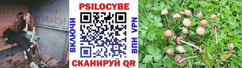 Галлюциногенные грибы Magic Shrooms  где можно купить   Петрозаводск 